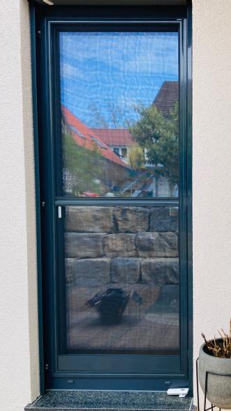Insektenschutz für Balkontür in Bad Kissingen